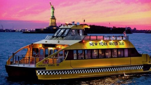 nywt statuebynight x large 2