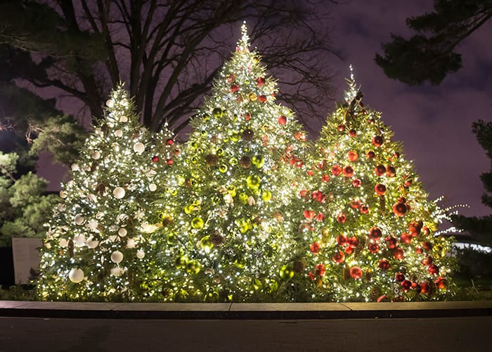 7 christmas trees to see in new york city the rockettes 7 christmas trees to see in new york city the rockettes