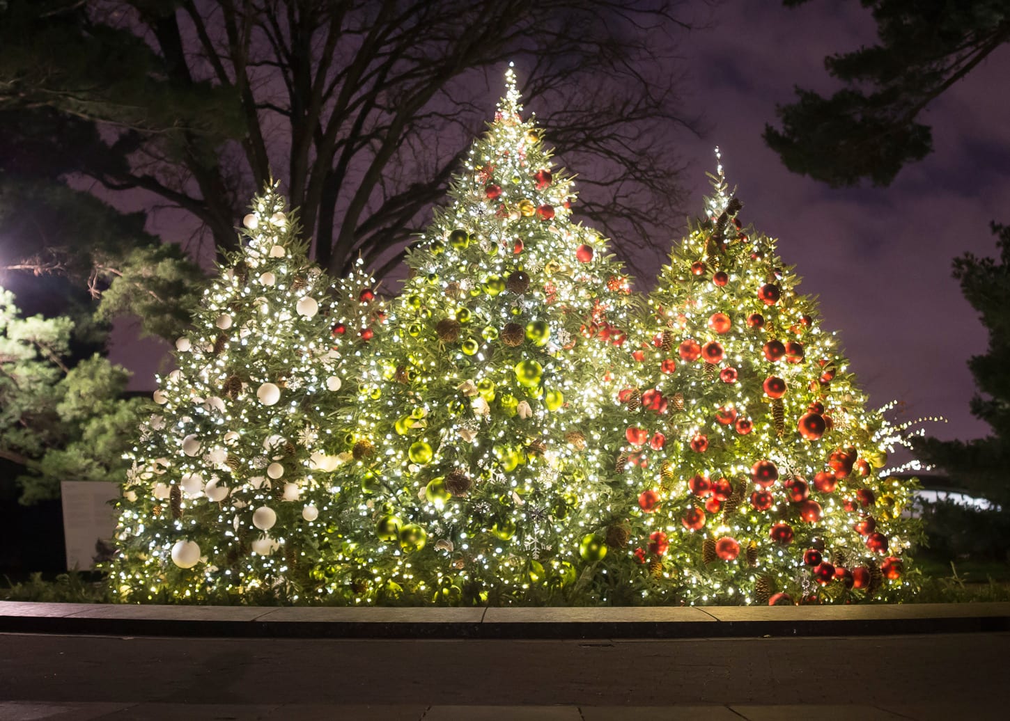 7 Christmas Trees to See In New York City  The Rockettes
