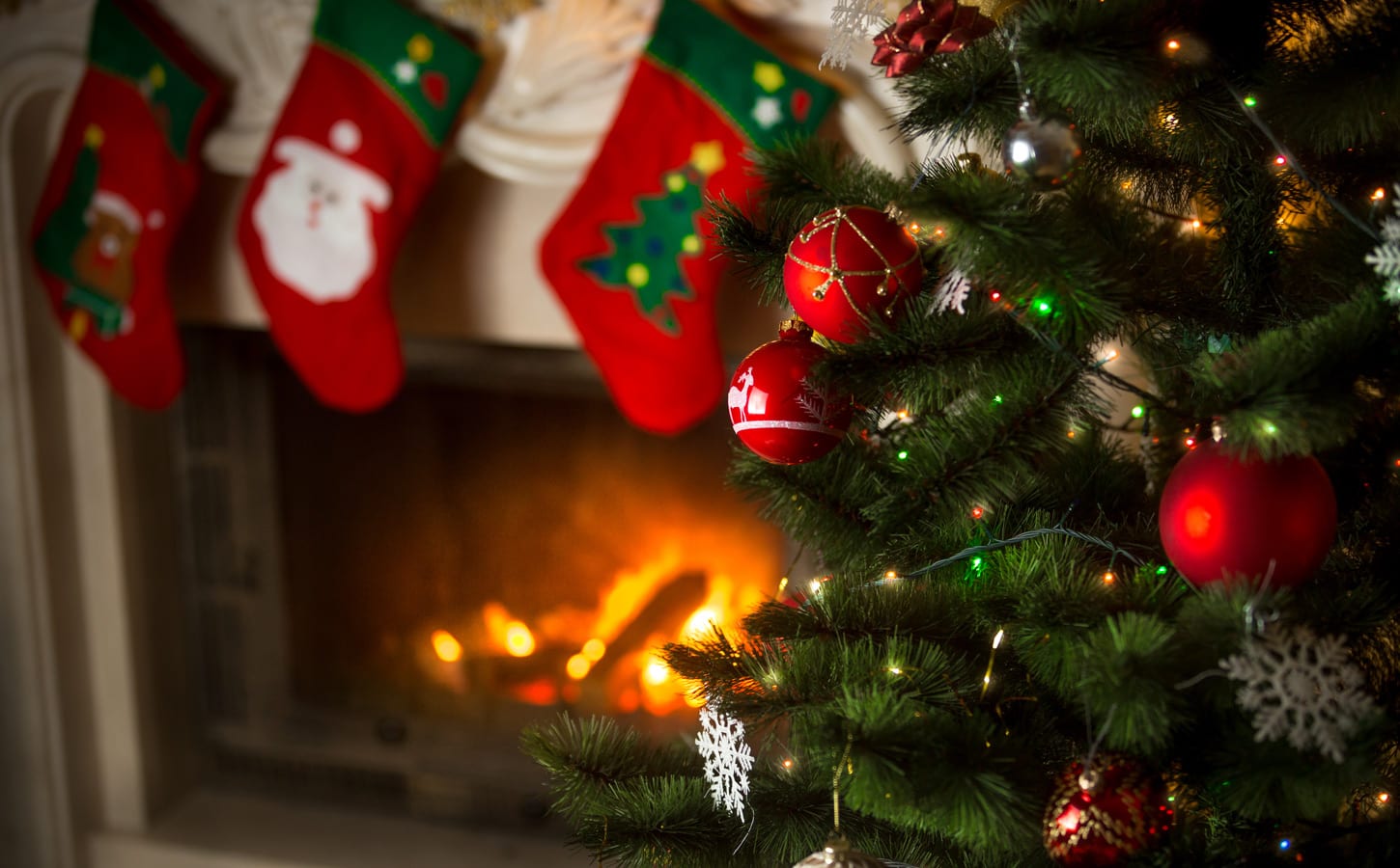 ÎÏÎ¿ÏÎ­Î»ÎµÏÎ¼Î± ÎµÎ¹ÎºÏÎ½Î±Ï Î³Î¹Î± christmas morning